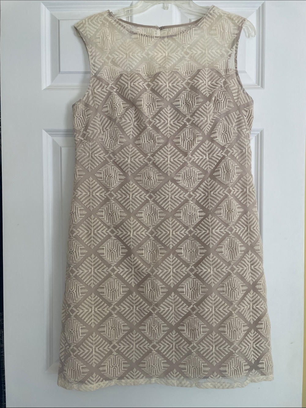 Adrianna Papell Pale Blush Lined Dress or Top